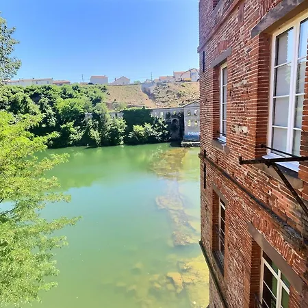 Διαμέρισμα Au Bord Du Tarn - Vue Riviere - Wifi- Parking